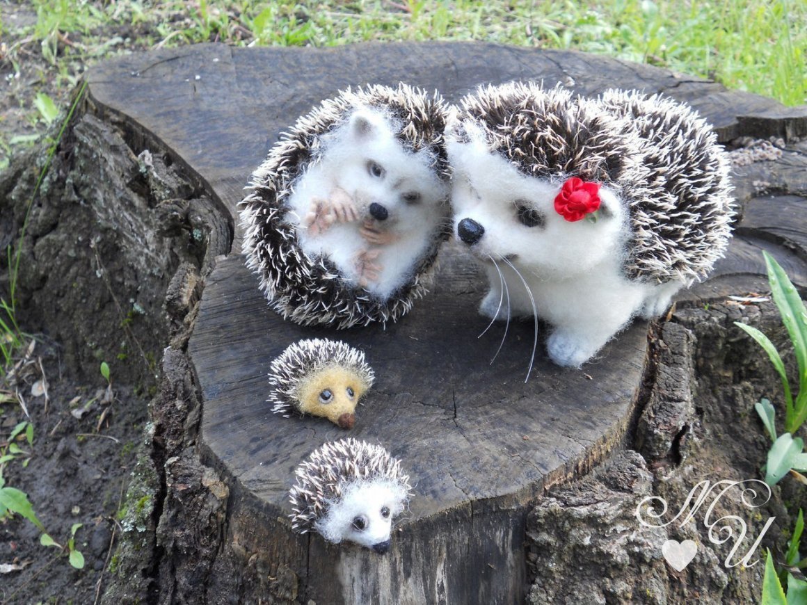Еж с ежатами