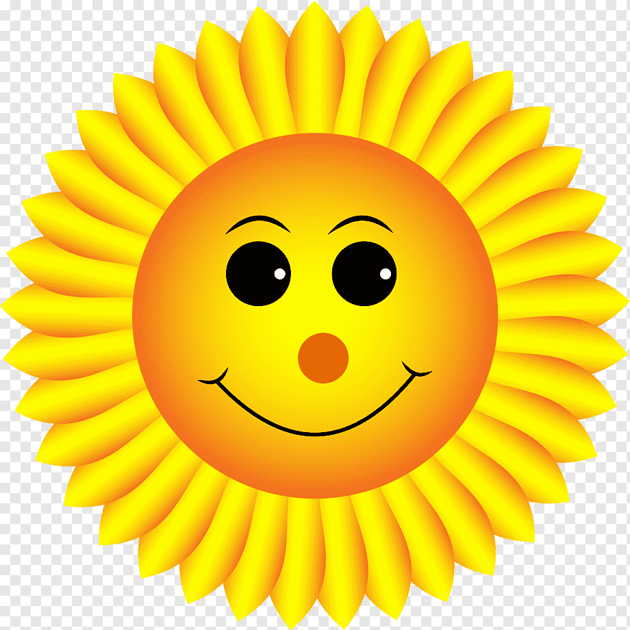 Дети солнца