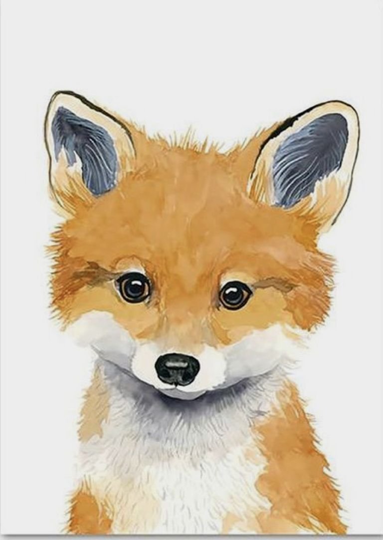 Лиса и Лисенок на белом фоне