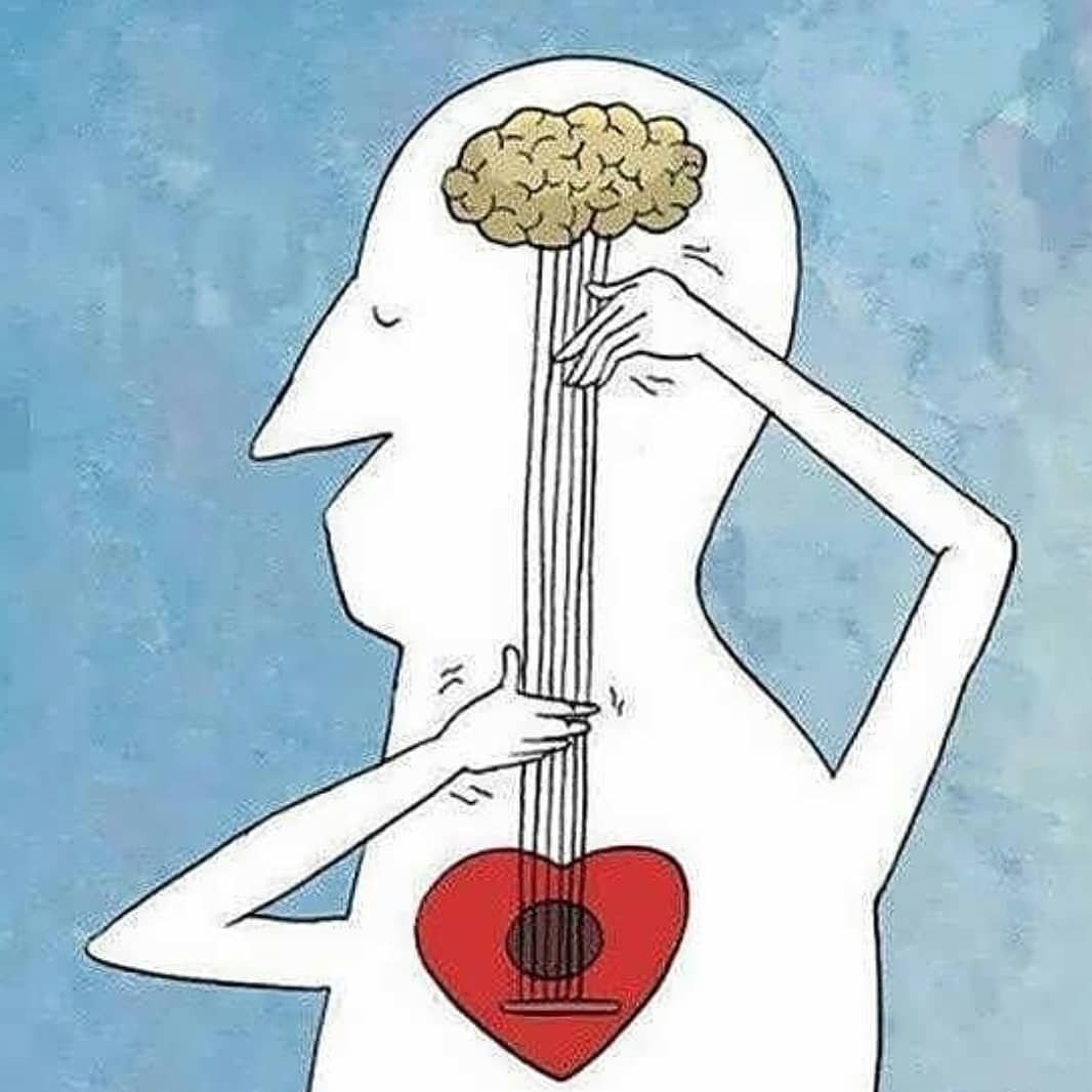 Мозг и сердце