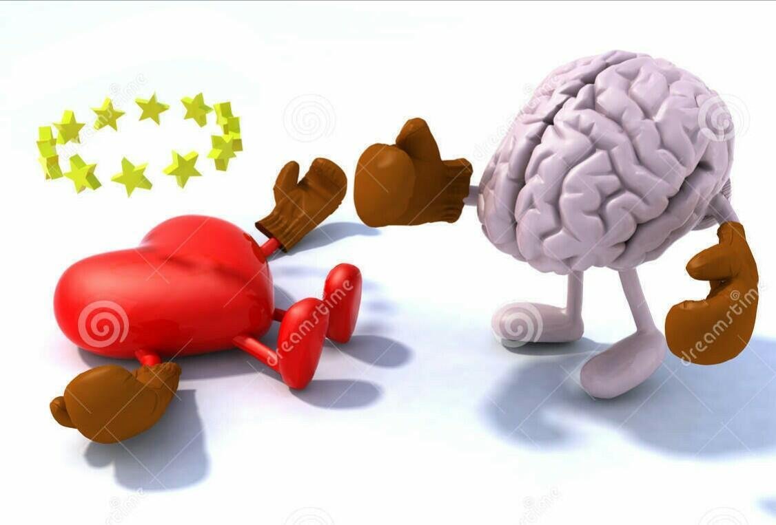 Между сердцем и мозгом