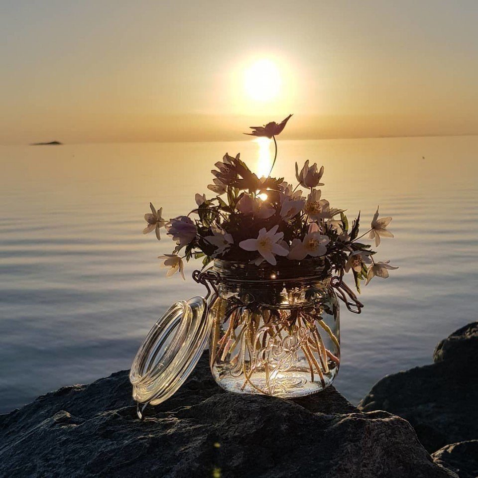 Красота в простоте природа