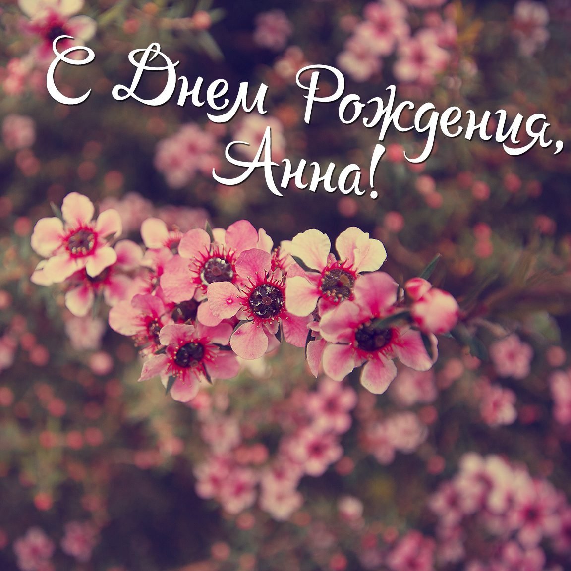 С днём рождения девушке