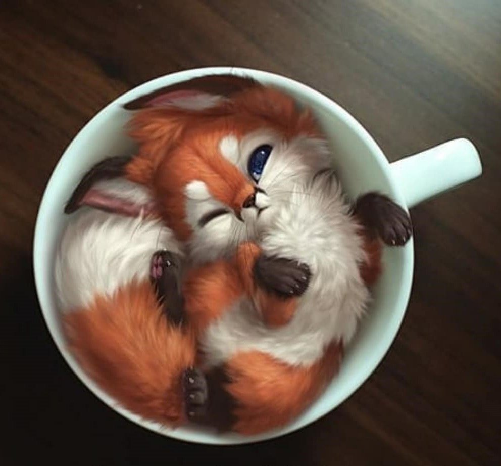 Милый спящий Лисенок