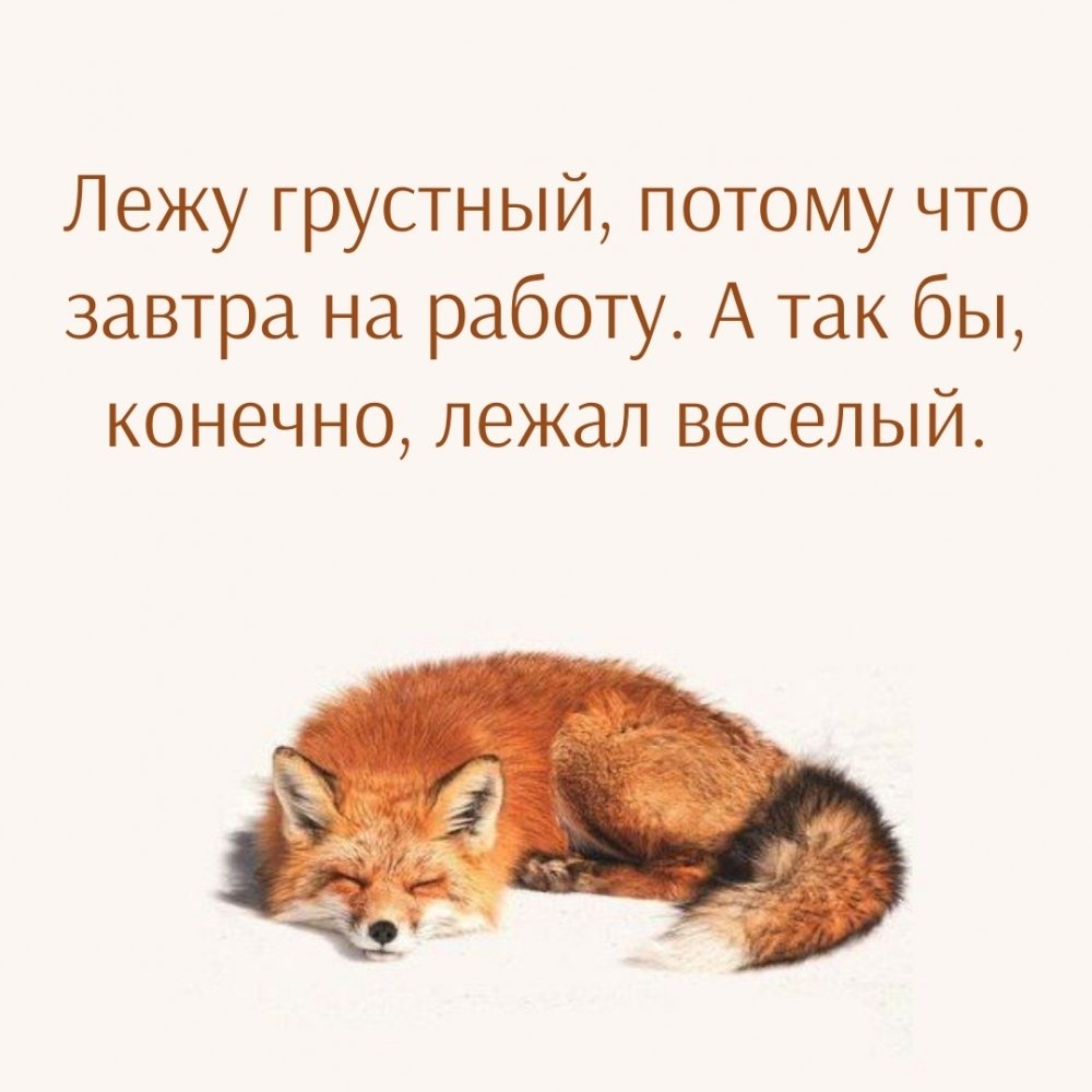 Пожелания на ночь прикольные