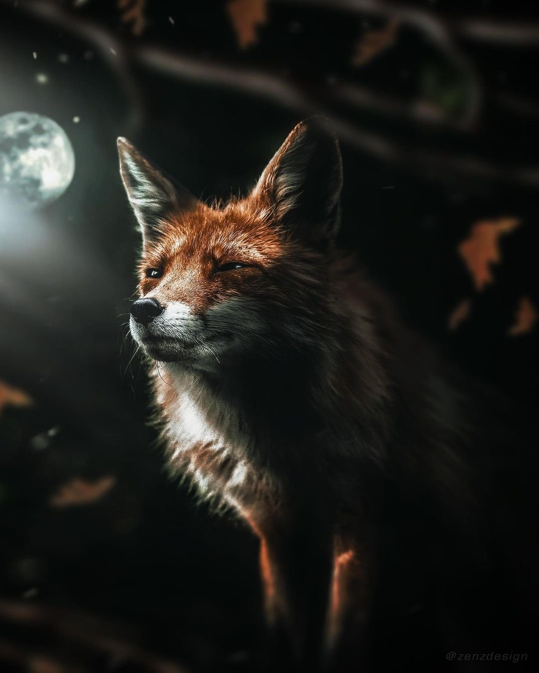 Няшные лисички