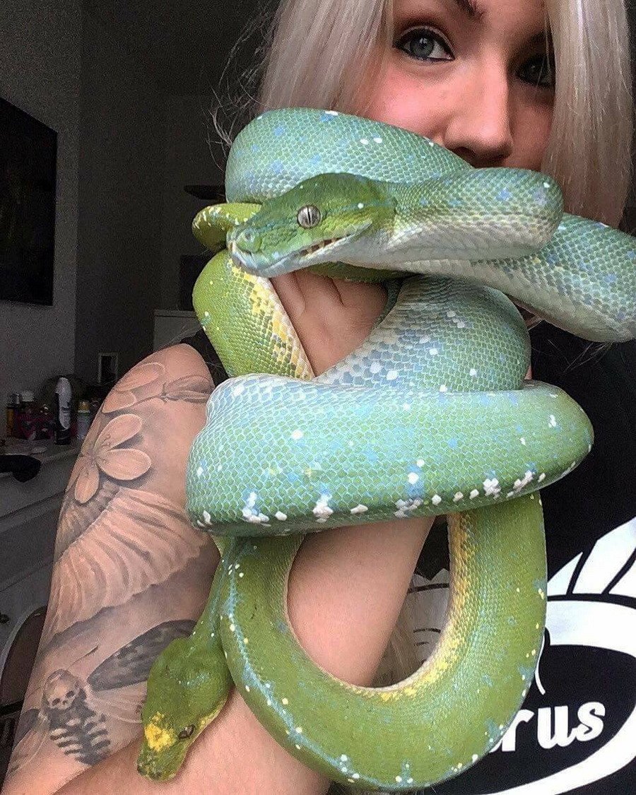 Приколы со змеями