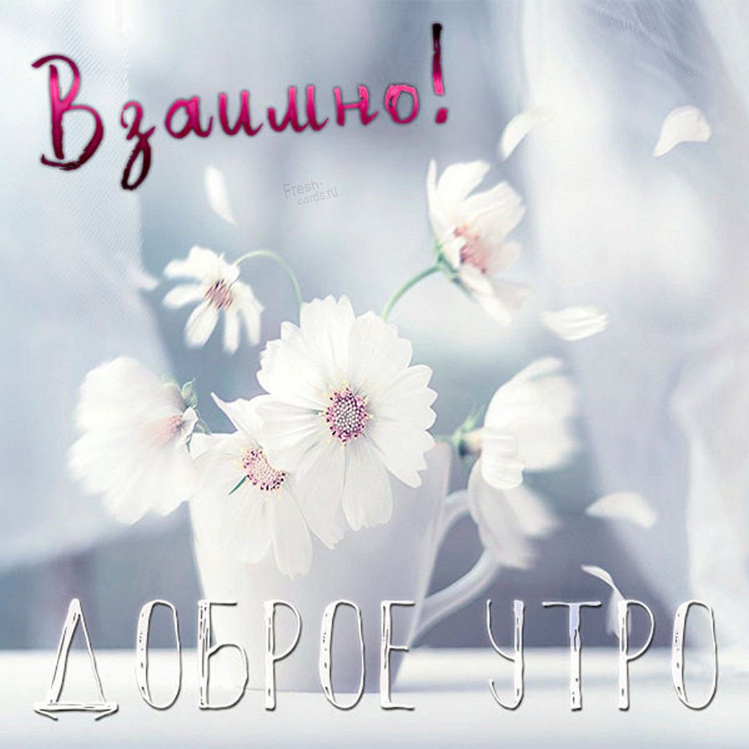 Спасибо с добрым утром
