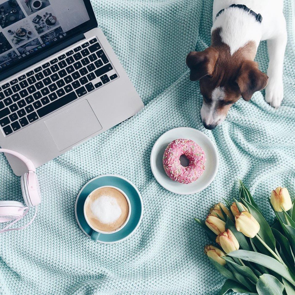 Утро выходной