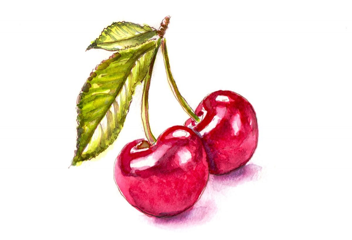 Рисунок Вишенки на веточке