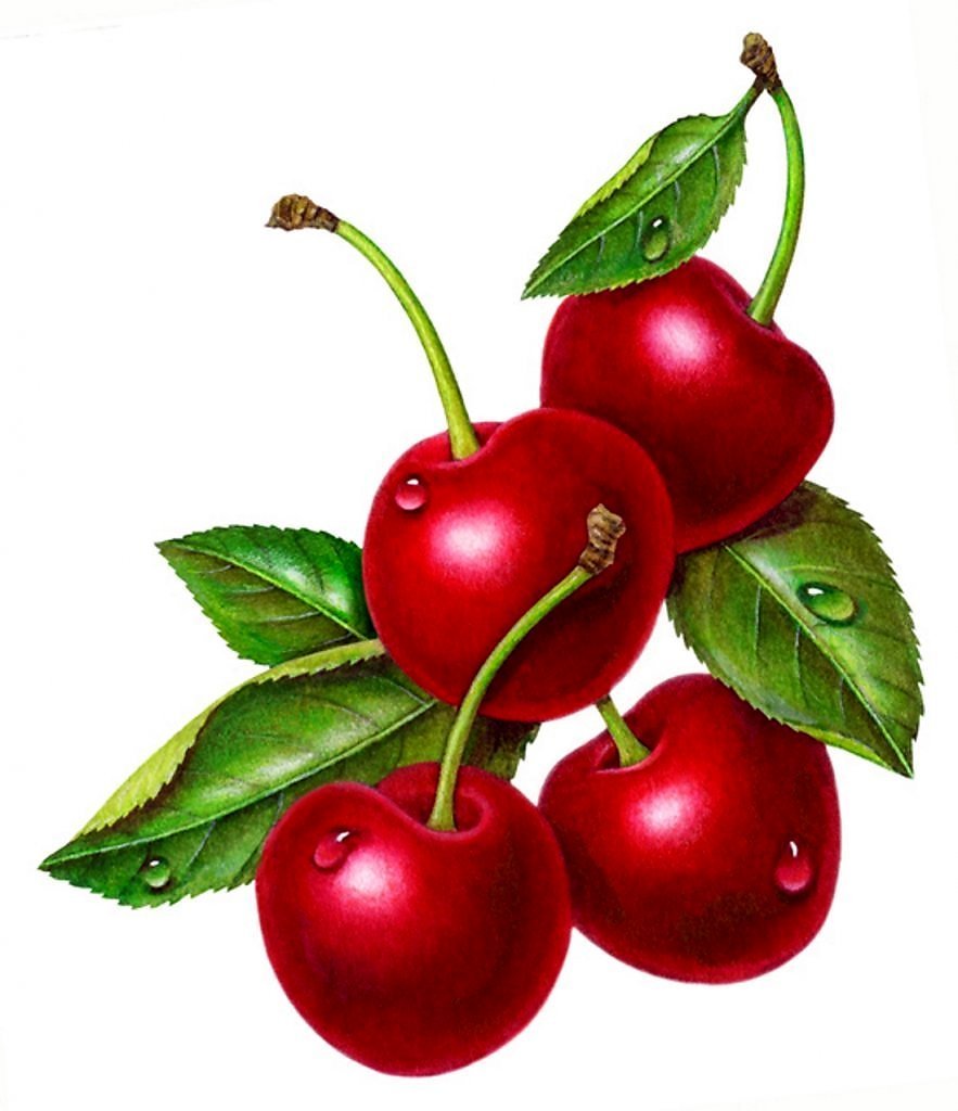 Фрукты вишня