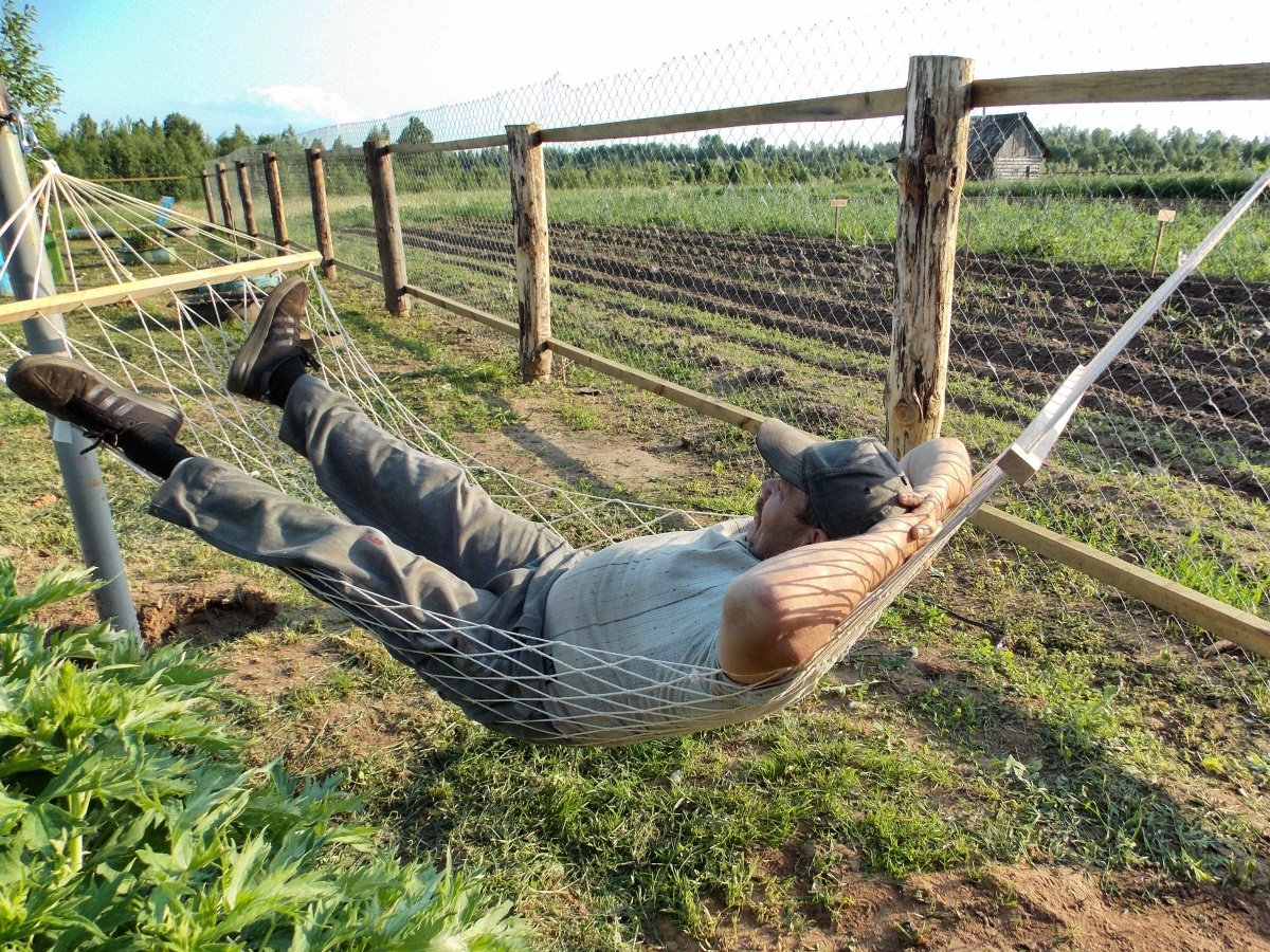 Смешные карикатуры про дачников