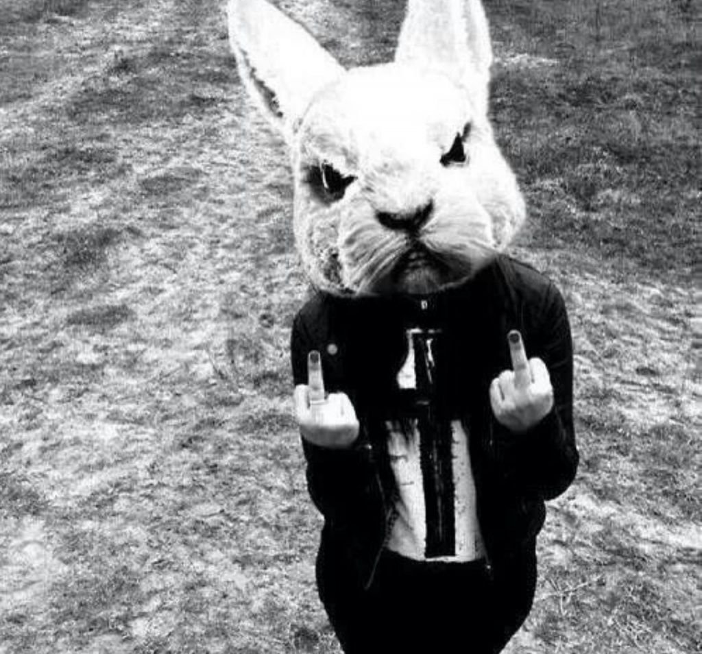 Кролик с цветочком