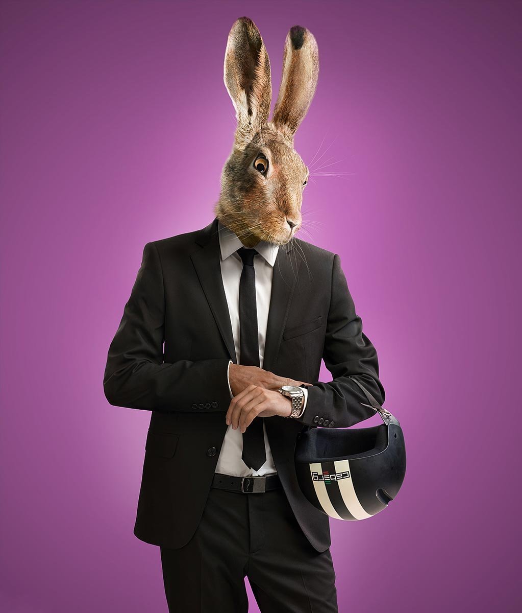 Картинки кролик бобо