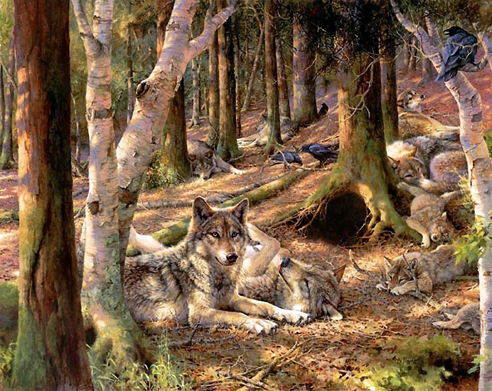 Художница: Bonnie Marris волки