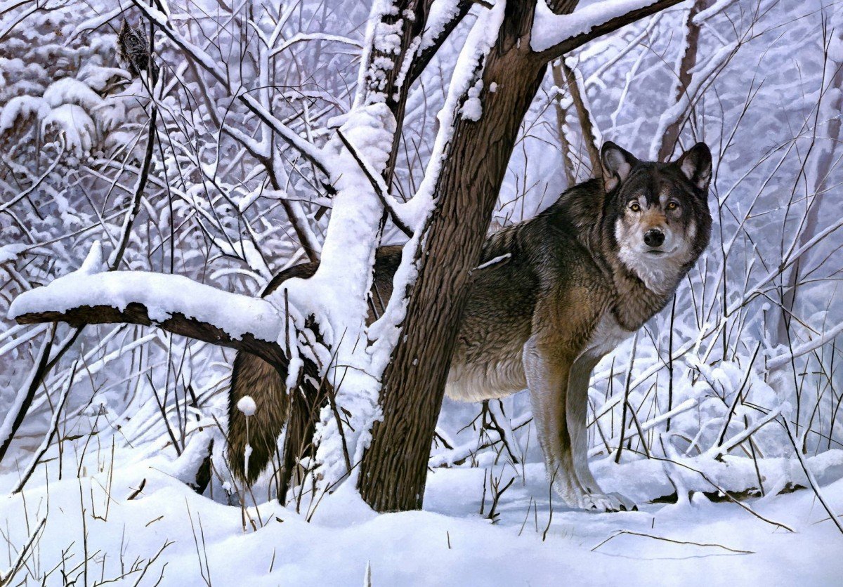 Зимующие животные