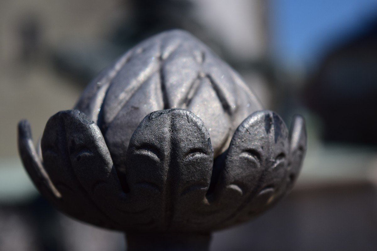 Каменный цветок из железа