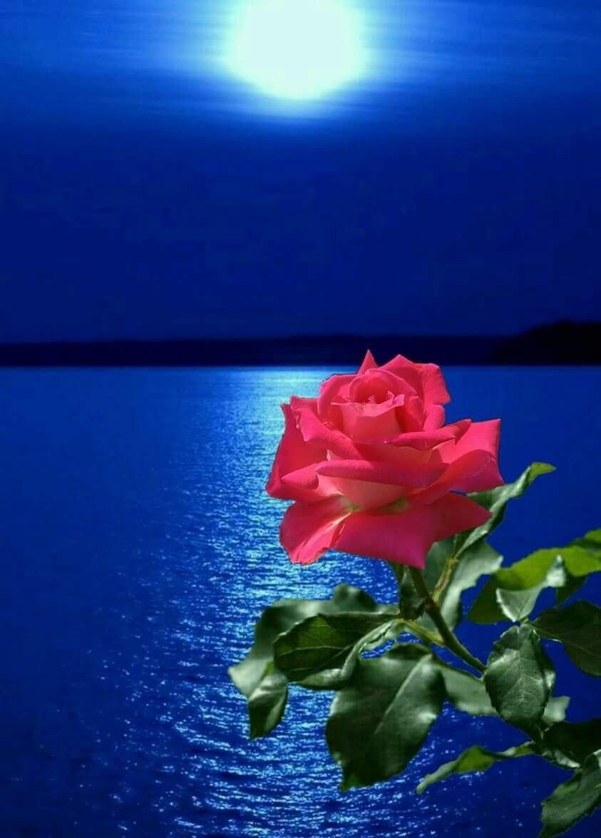 Спокойной ночи девушке любимой