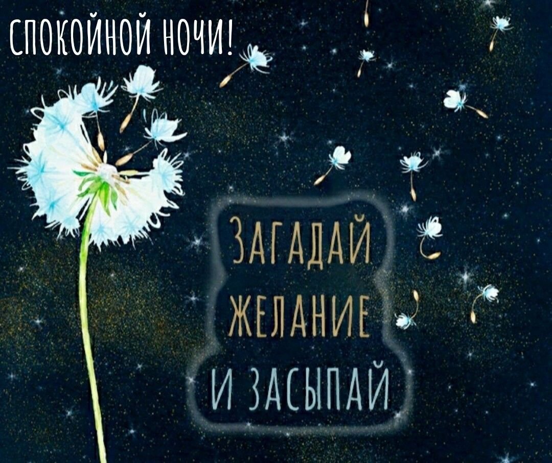 Спокойной ночи одуванчик