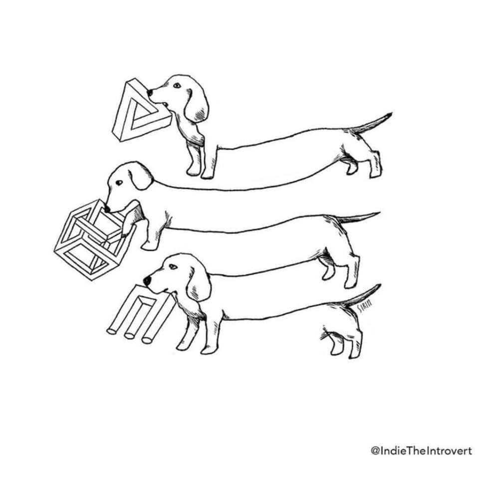 Невозможные животные иллюзия