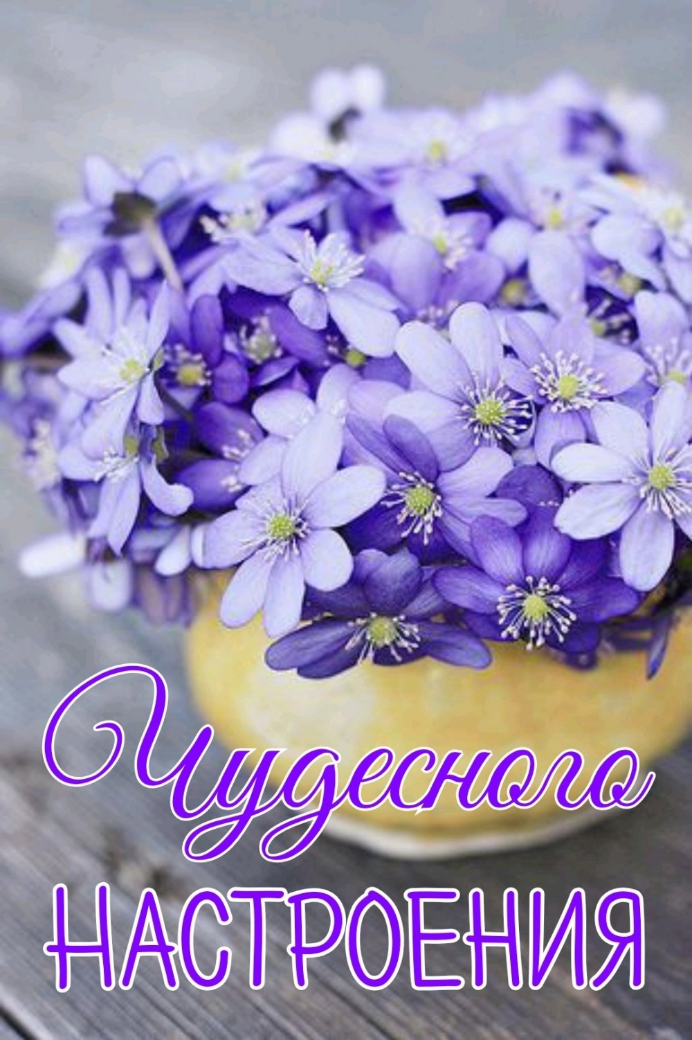 Открытки для тебя моя хорошая