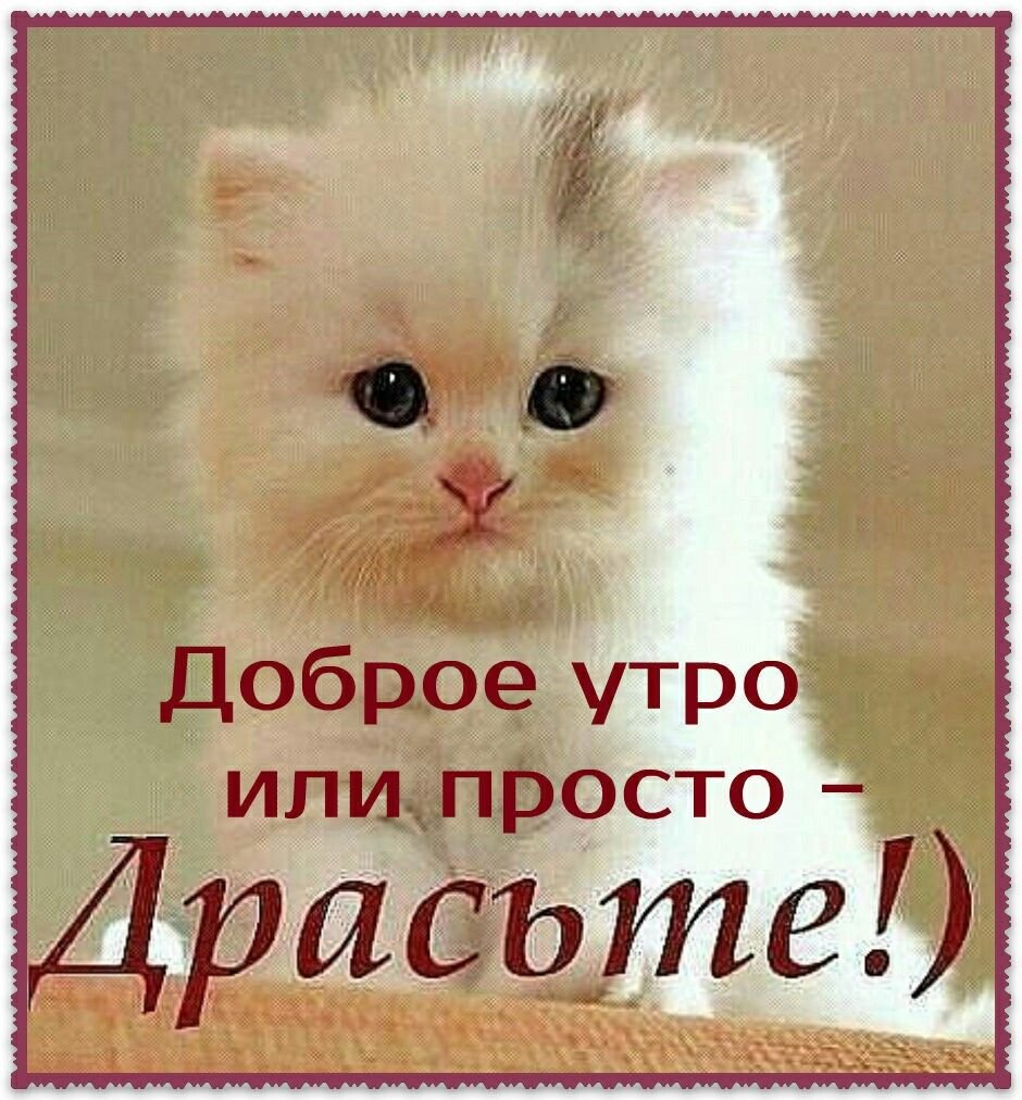 С добррв. У Ром здоровья