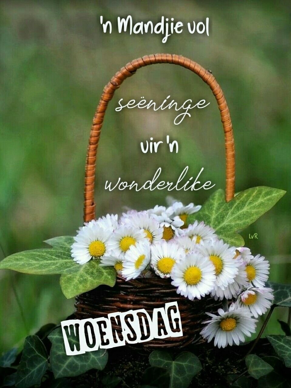 Поздравление с добрым утром