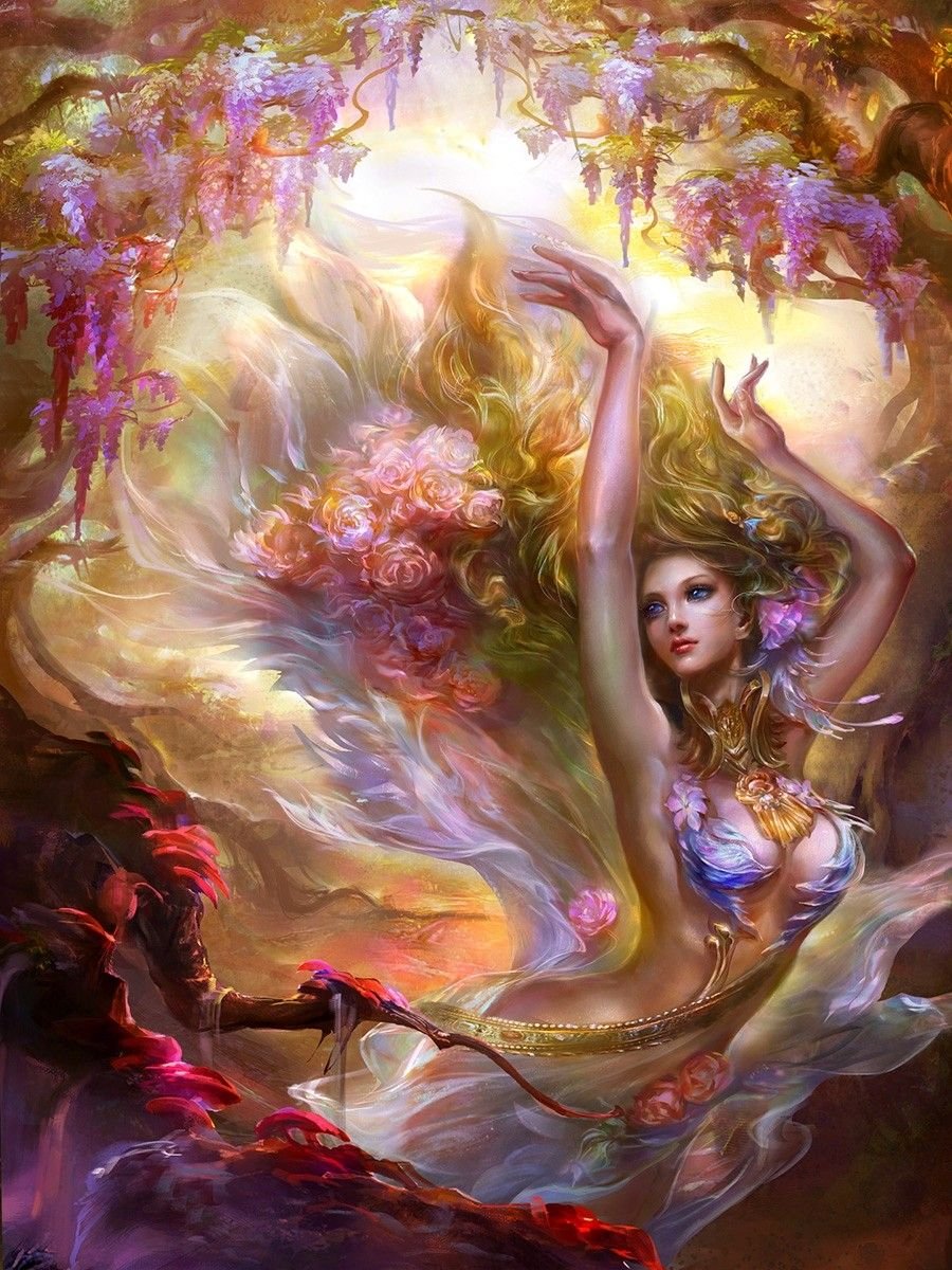 Rongrong Wang художница-иллюстратор