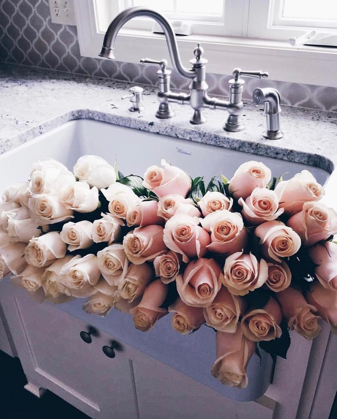 Красивые цветы для инстаграма