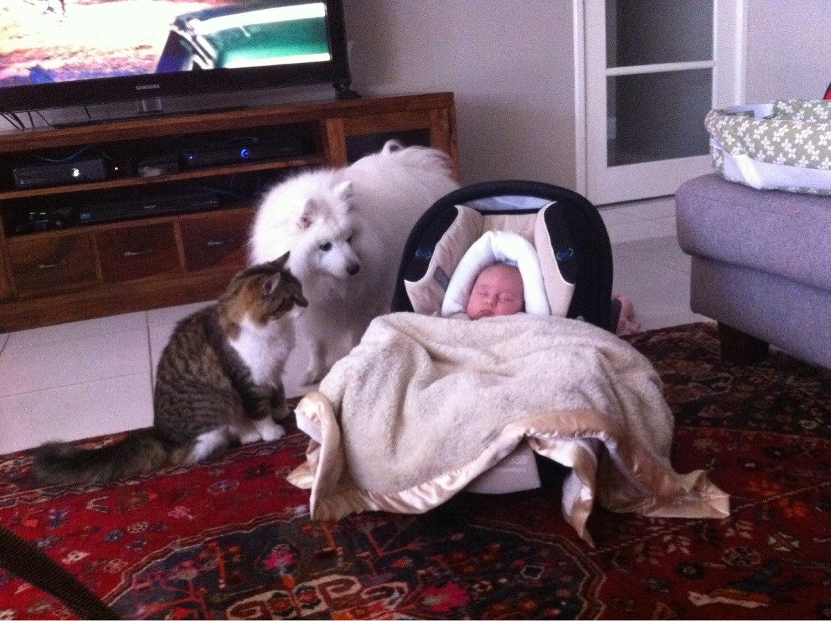 Прикольные брови