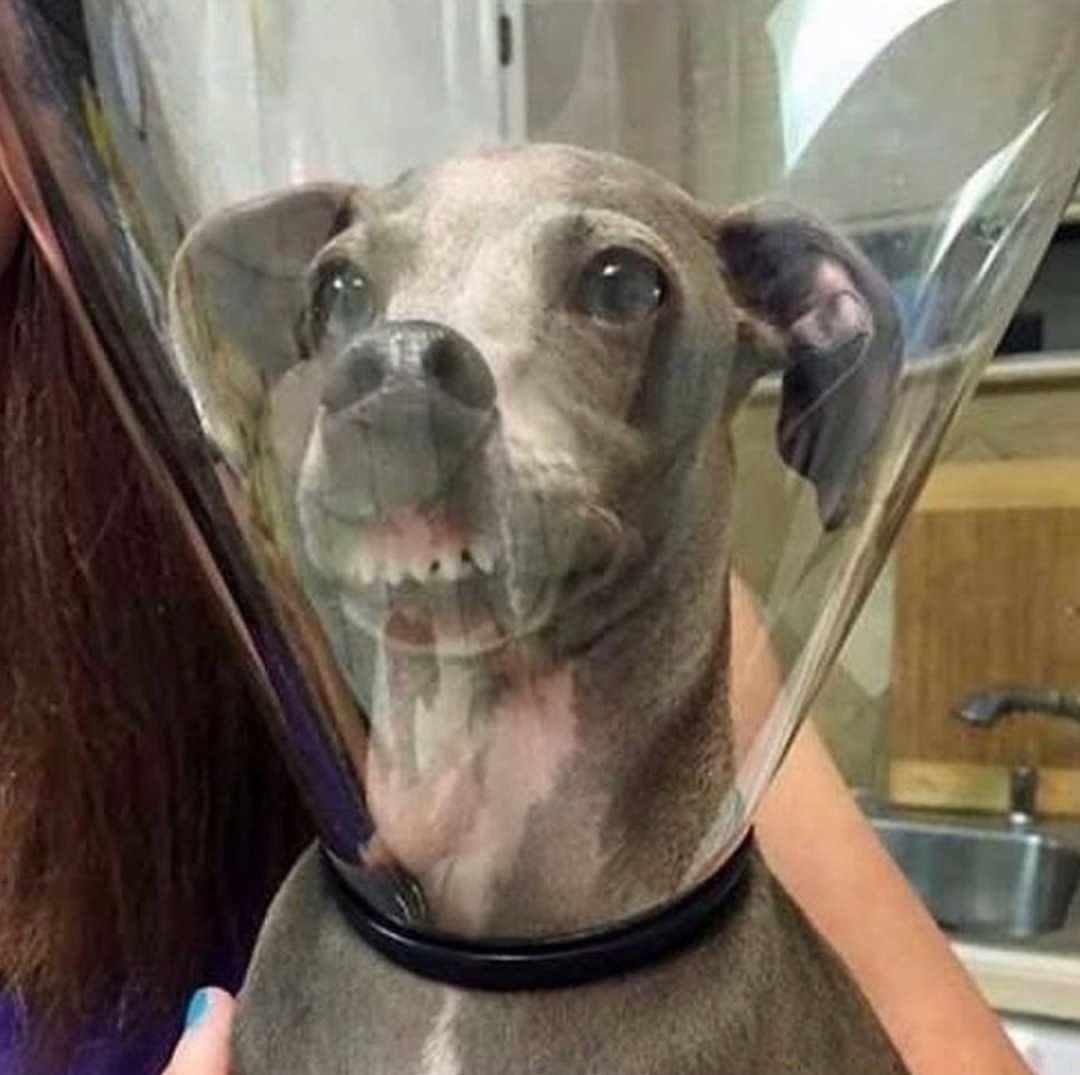 Приколы для группы