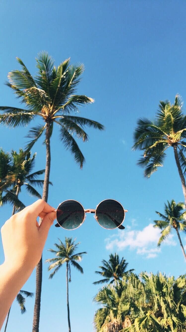 Лето сторис