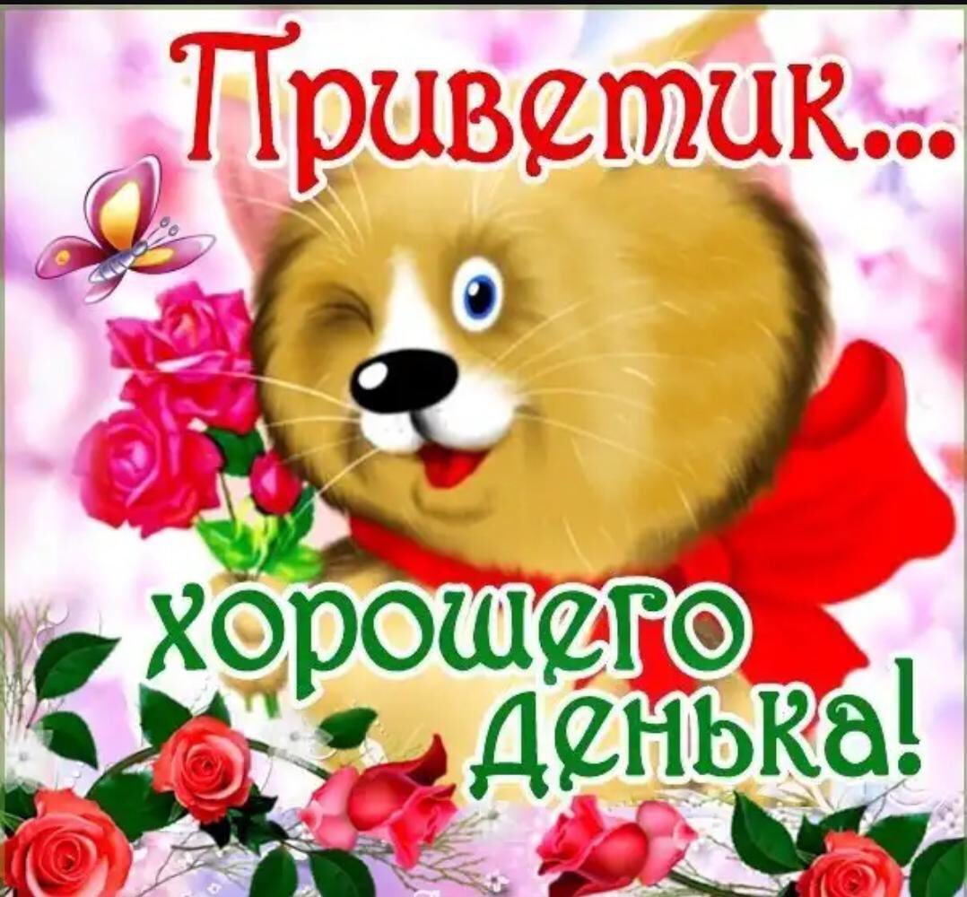 Привет хорошего дня