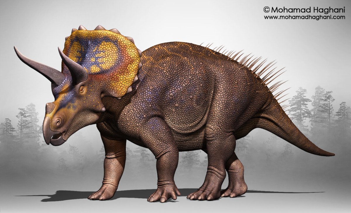 Трицератопс 3d модель