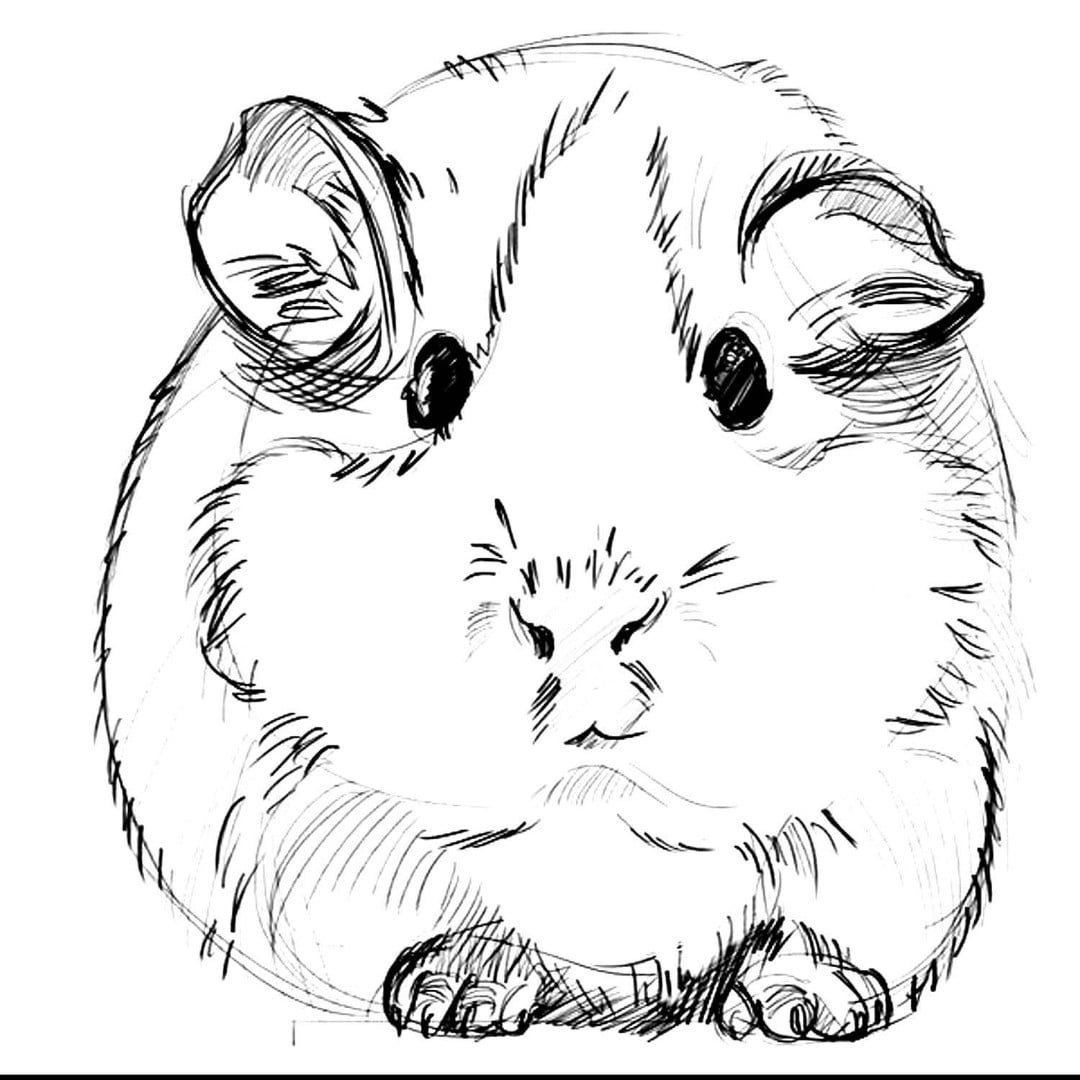 Хомячки Hamtaro