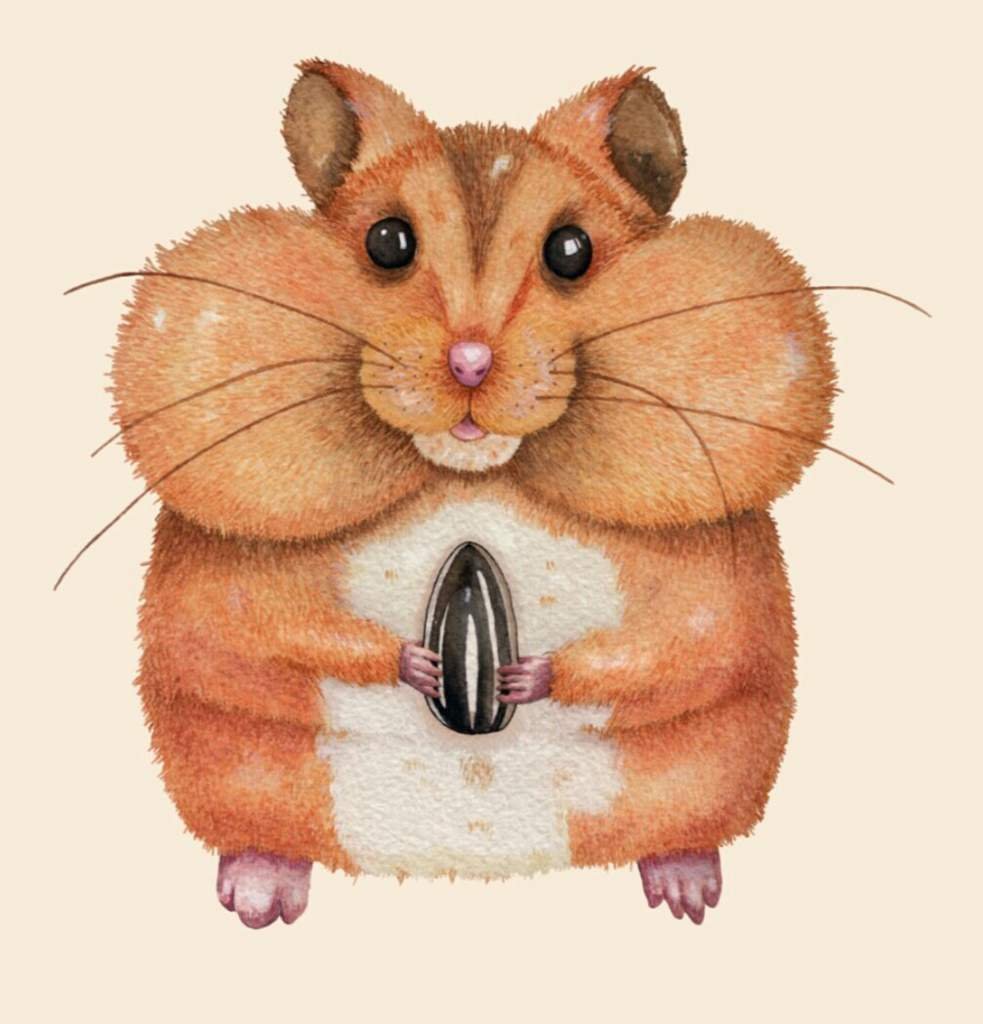 Милый хомяк арт