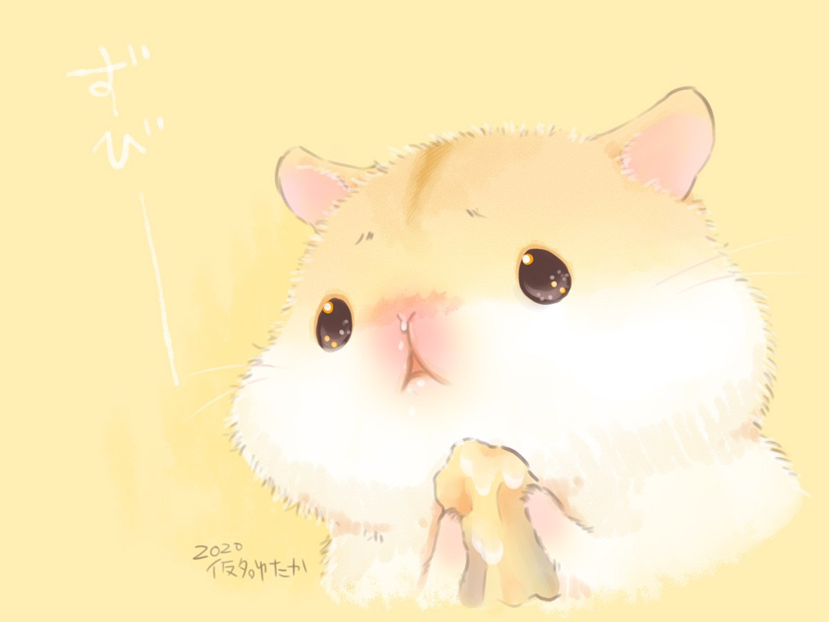 Раскраска морская Свинка