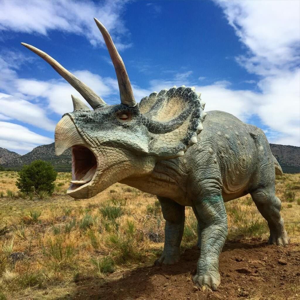 Трицераптос Блю