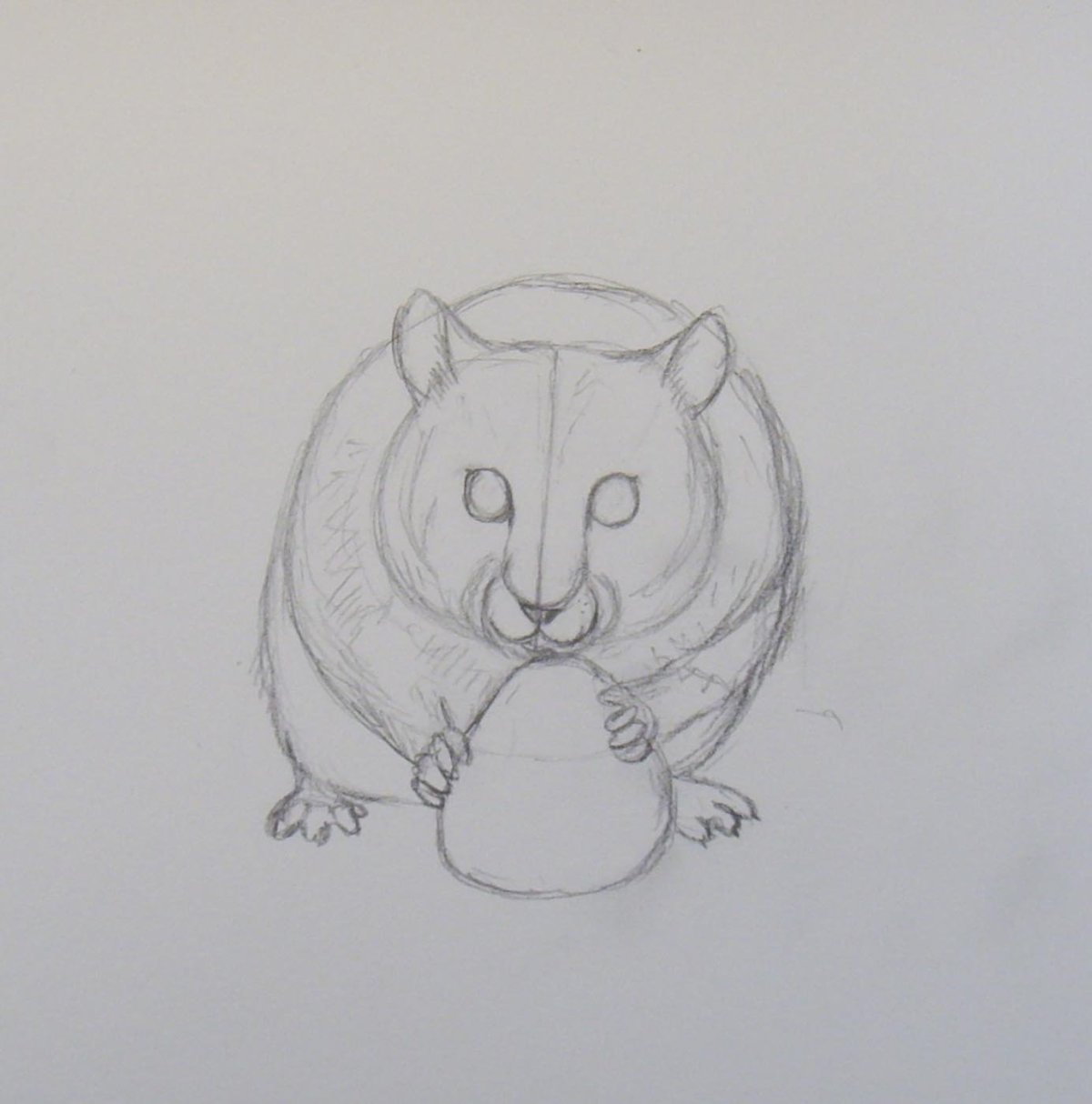 Рисунки хомяков для срисовки