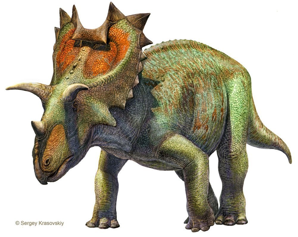 Динозавры вектор Трицератопс