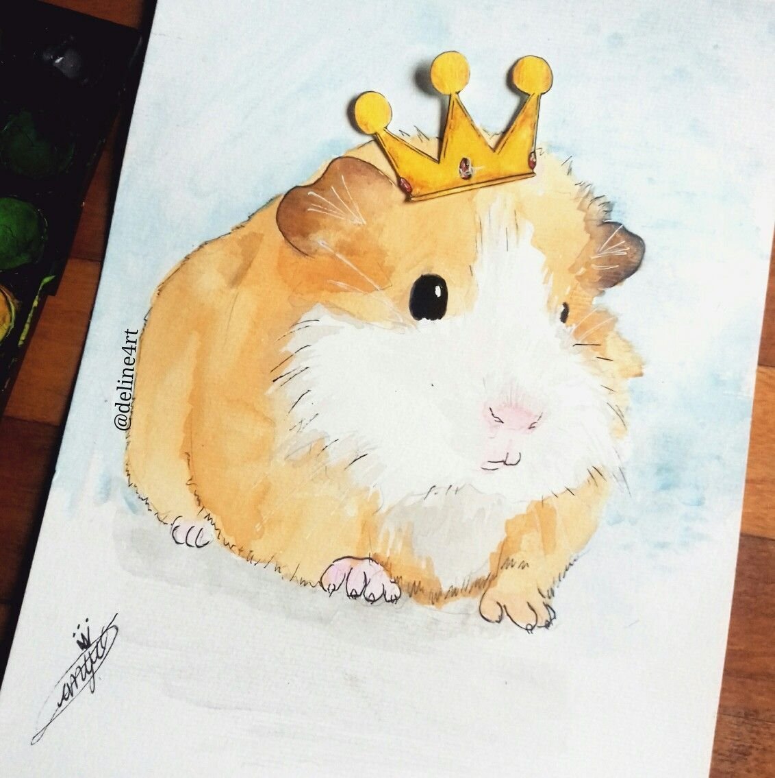 Хомяк джунгарский нарис