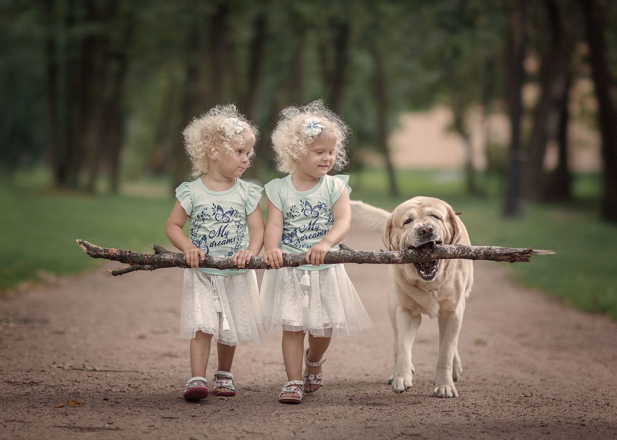 Дети и собаки смешное