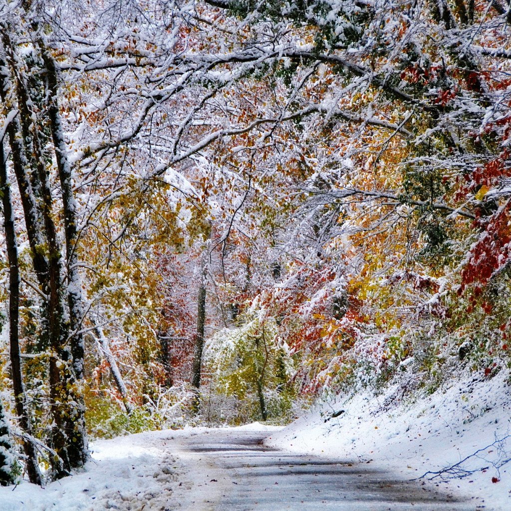 Снежная осень
