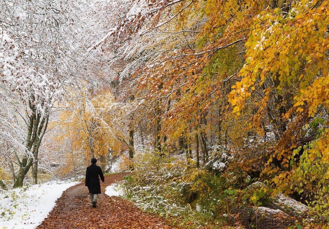 Осень зимой