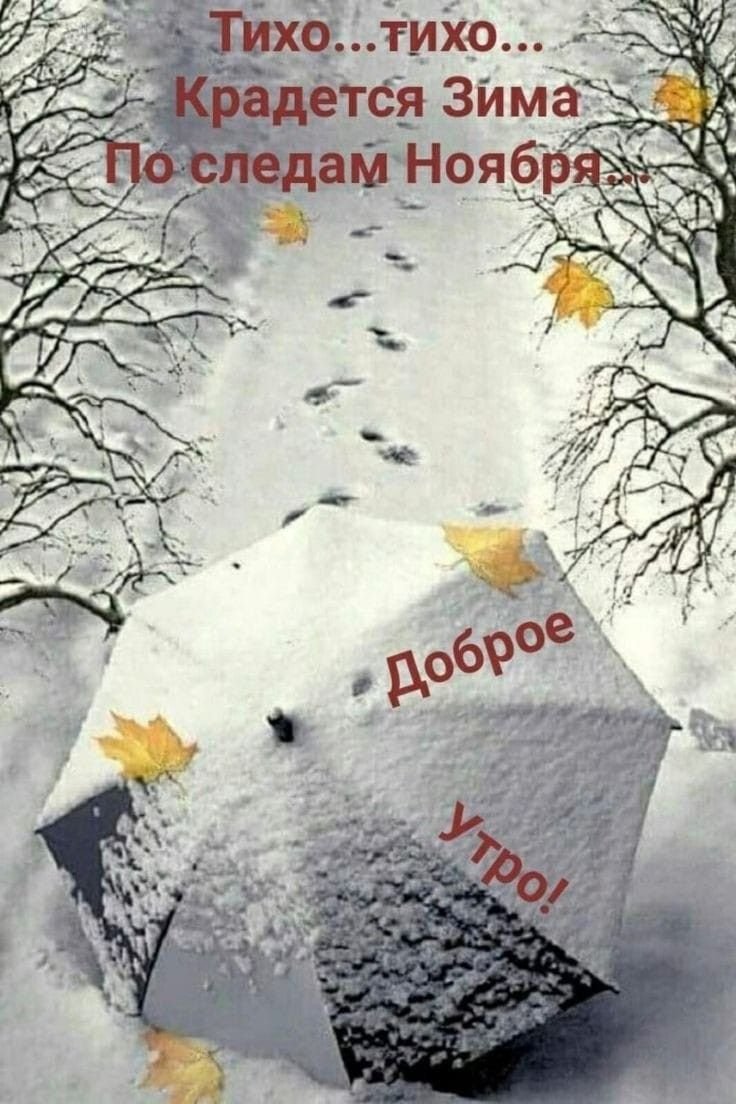 Дождливое зимнее утро