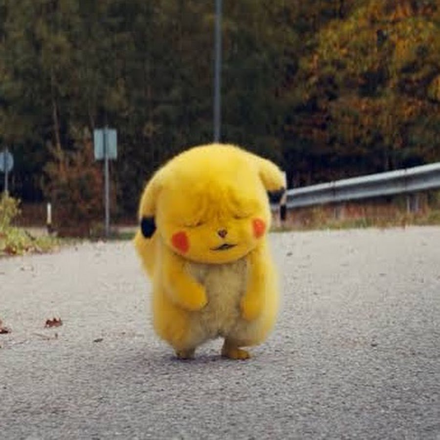 Пикачу мохнатый