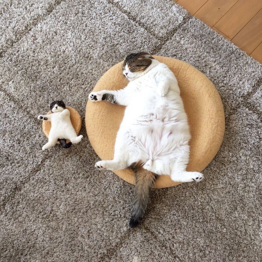 Доброе утро пятницы