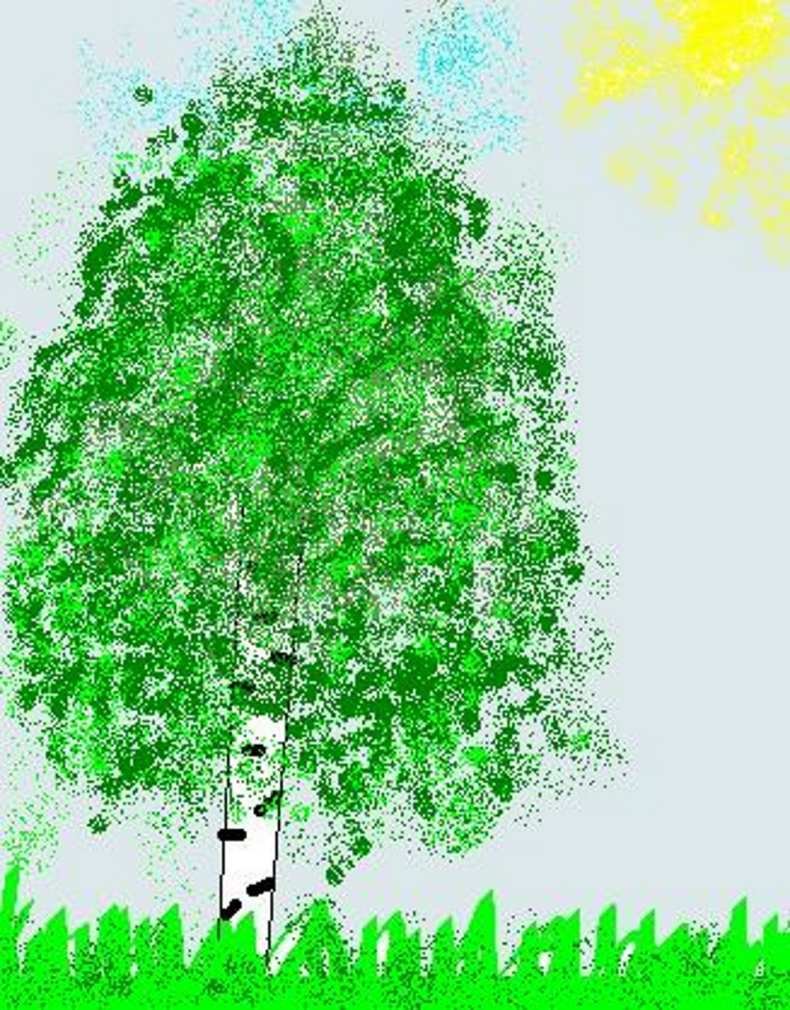 Береза раскраска для детей