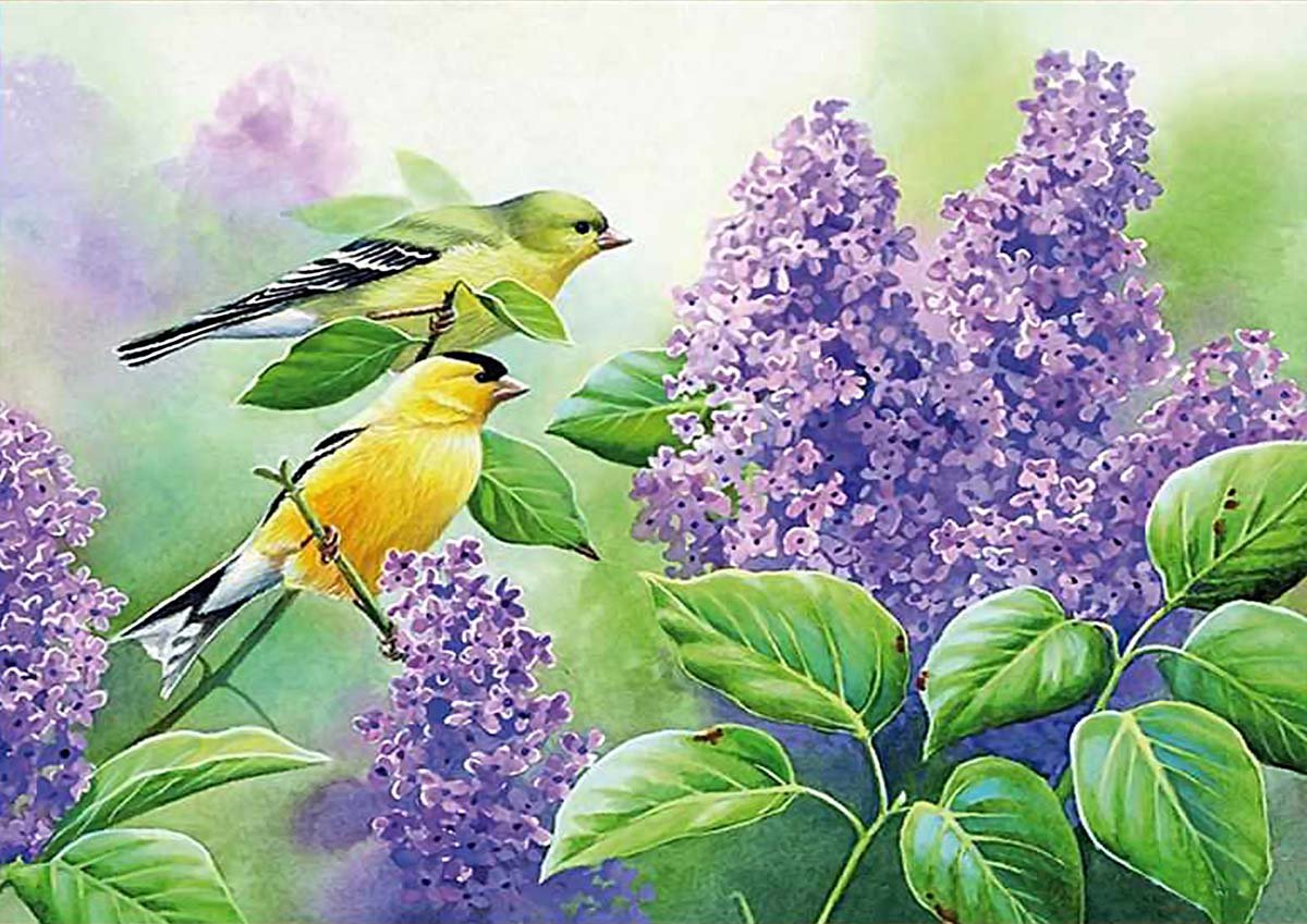 Птица на ветке сирени