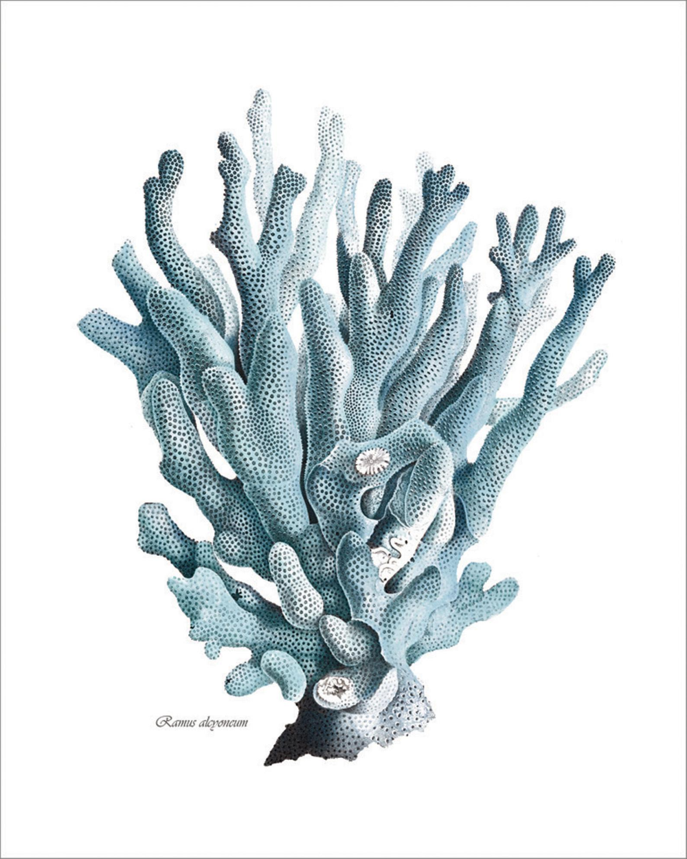 Акварельные синие кораллы